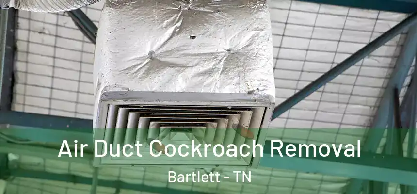  Air Duct Cockroach Removal Bartlett - TN