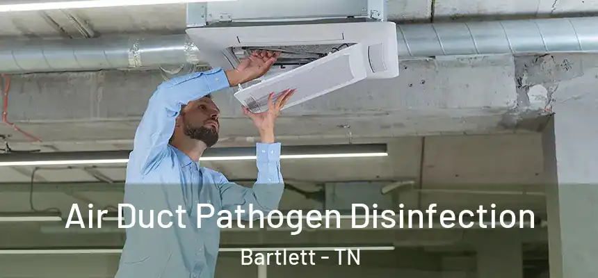  Air Duct Pathogen Disinfection Bartlett - TN