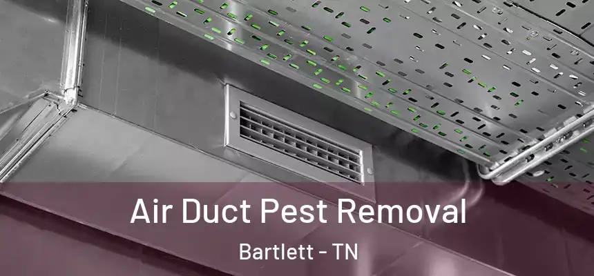  Air Duct Pest Removal Bartlett - TN