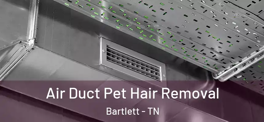 Air Duct Pet Hair Removal Bartlett - TN