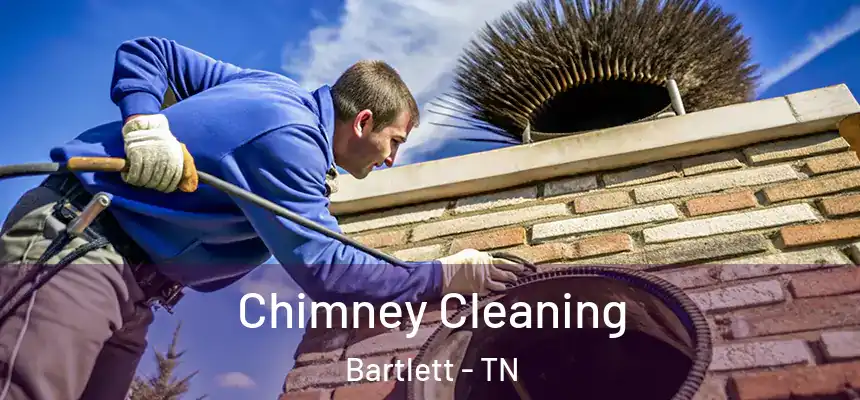 Chimney Cleaning Bartlett - TN
