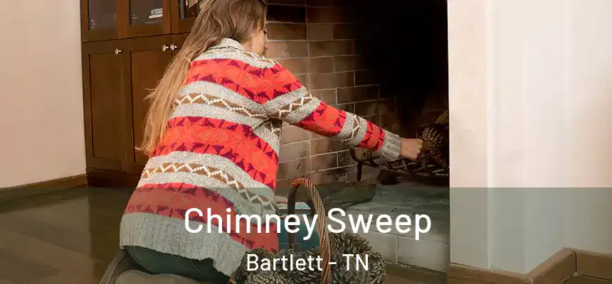 Chimney Sweep Bartlett - TN