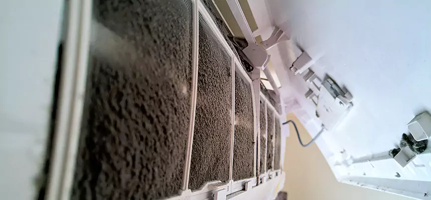 Preventive Air Duct Bacteria Removal in Bartlett