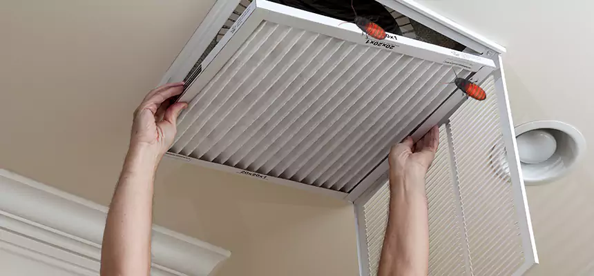 Preventive Cockroach-Proofing for Ducts in Bartlett