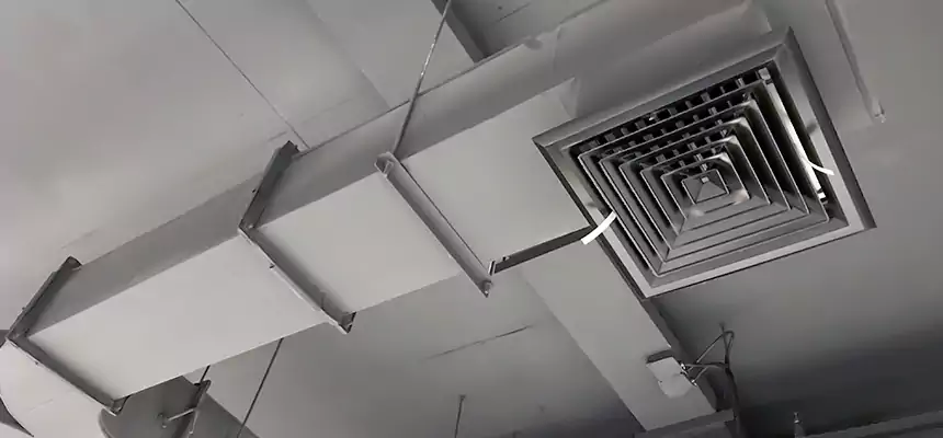 Restorative Allergy Relief Vent Cleaning – Coil, Blower & Housing Detail in Bartlett