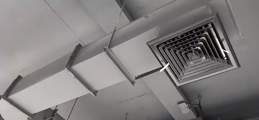 Our Pest Removal From Ducts Services in Bartlett, TN