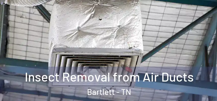  Insect Removal from Air Ducts Bartlett - TN