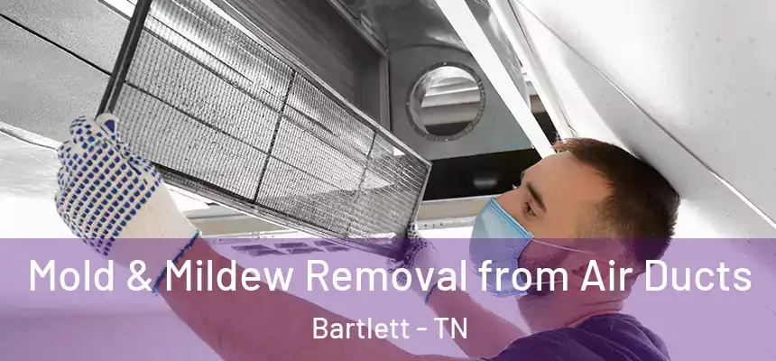  Mold & Mildew Removal from Air Ducts Bartlett - TN