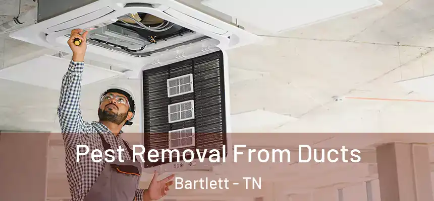  Pest Removal From Ducts Bartlett - TN