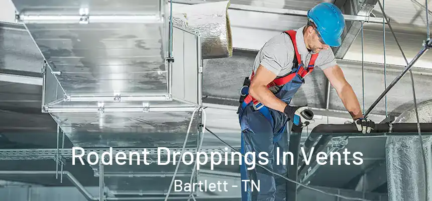  Rodent Droppings In Vents Bartlett - TN