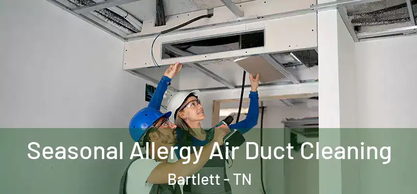 Seasonal Allergy Air Duct Cleaning Bartlett - TN