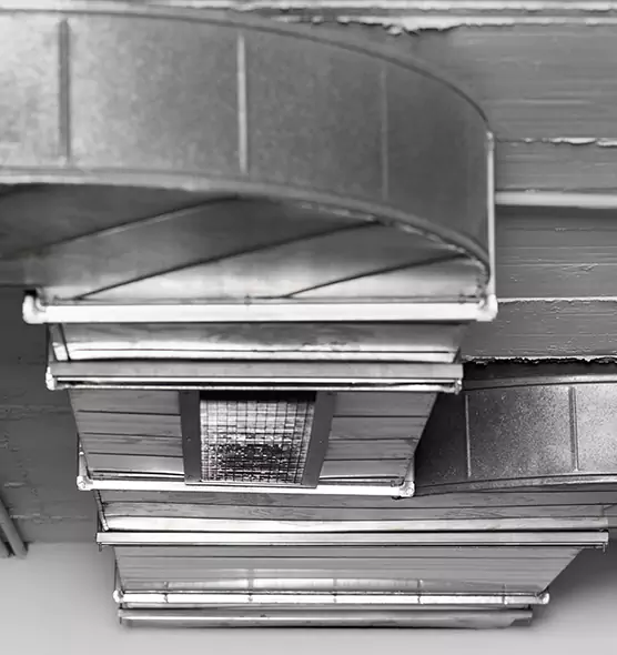 Professional Air Duct Pest Removal in Bartlett, TN