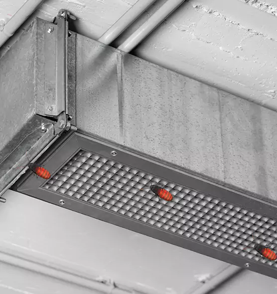 Affordable Insect Removal from Air Ducts in Bartlett, TN