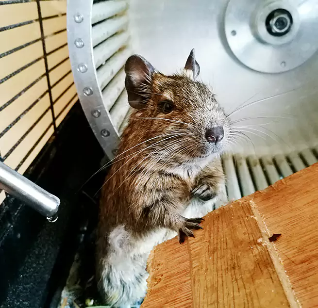 Why Homeowners & Businesses Trust Us Bartlett, TN